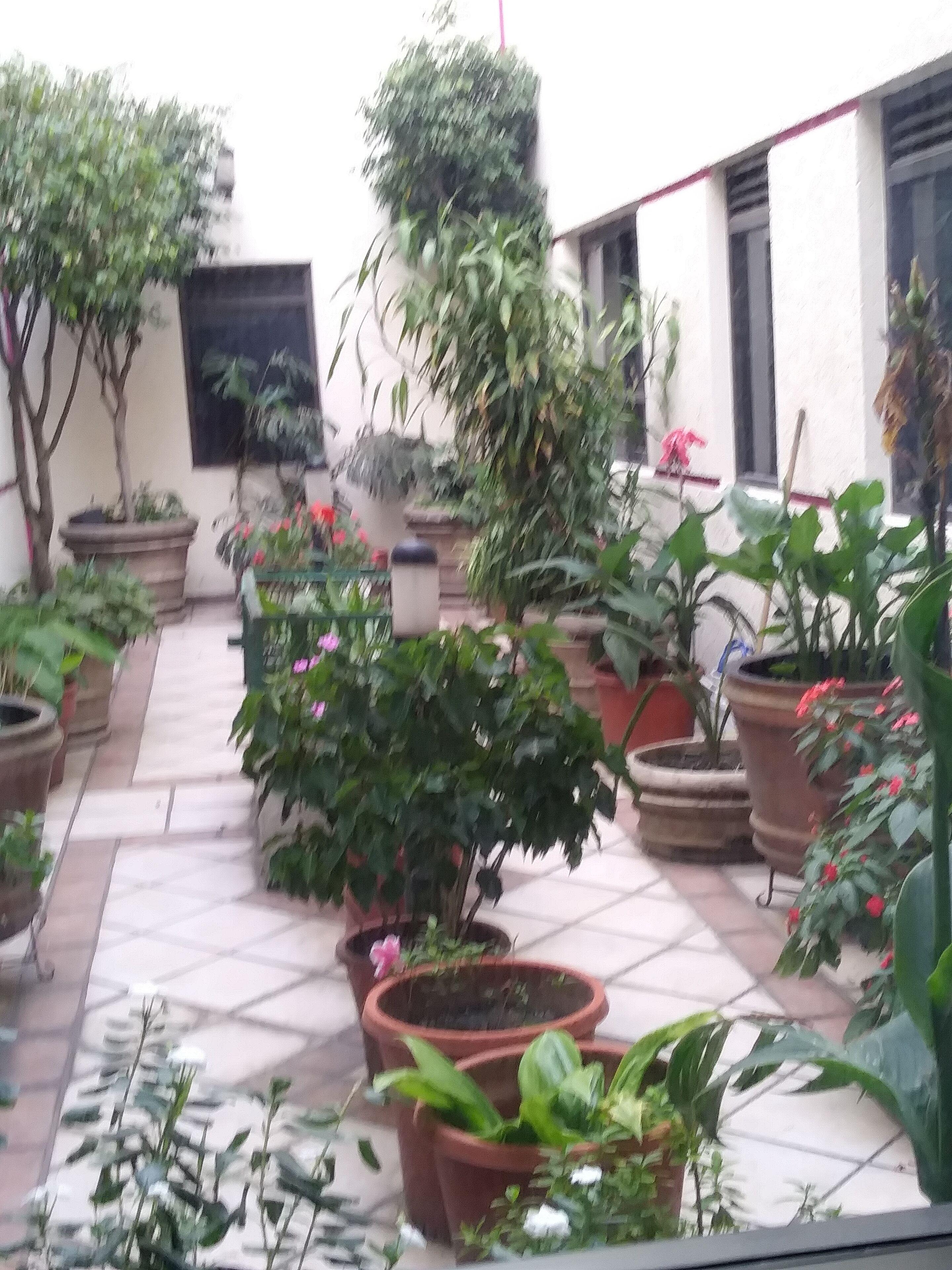 Hotel Ambar - Mexico City — Photos 1